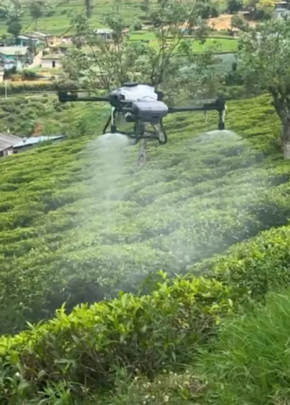 Agriculture Drone Solutions